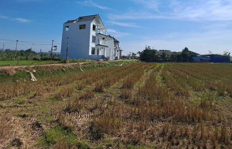 Gom đất nông nghiệp chờ chuyển đổi mục đích sử dụng hưởng lợi nhuận, nhà đầu tư có thể bị truy cứu trách nhiệm - Ảnh 2.